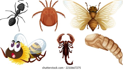 Ilustración de diferentes tipos de insectos