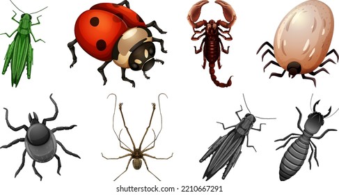 Set of different kinds of insects illustration