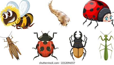 Set of different kinds of insects illustration
