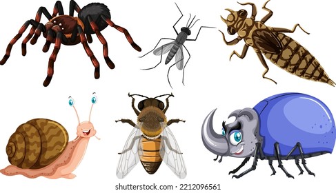 Ilustración de diferentes tipos de insectos