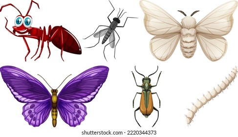 Set of different kinds of insects illustration
