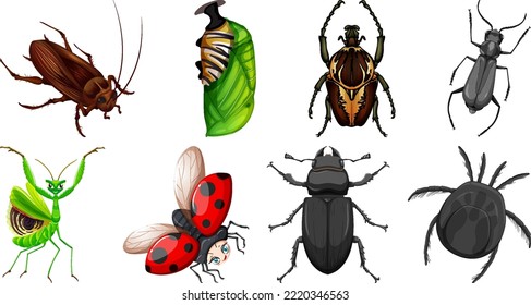 Ilustración de diferentes tipos de insectos