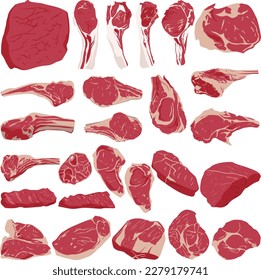 Set of different kinds of meat. Different parts of animal meat beef and pork.