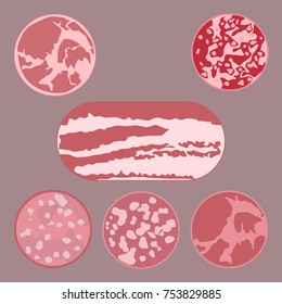 Set of different kinds of sausage. Flat vector illustration