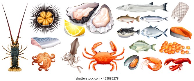 Set of different kinds of seafood illustration