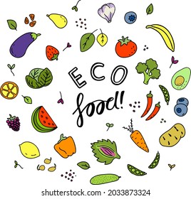 Set of different kinds of vegetables, greens and fruits. Various doodles, simple hand drawn sketches with Eco food text. Vector freehand illustration isolated on white background