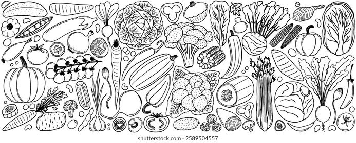 Set of different kinds of vegetables in hand drawn style. Coloring page with vegetables doodle style.