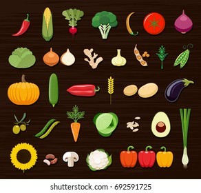 Set of different kinds of vegetables icons. Collection of flat design icons presenting different types of vegetables isolated on brown background. 