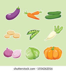 Set of different kinds of vegetables isolated on green background