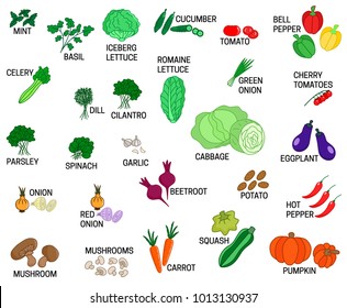 all kinds of vegetables