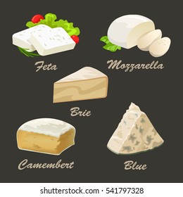 Conjunto de diferentes tipos de queso blanco. Ilustración vectorial realista con azul, brie, camembert, feta y mozzarella. Colección de cuajada utilizada para el diseño del logotipo, publicidad del queso o menú del restaurante.