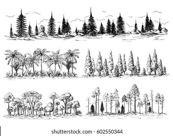 set of different landscapes with trees forest silhouettes with coniferous and deciduous exotic palm trees American redwoods hand drawn vector illustration Sketch design.