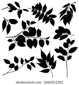Conjunto de diferentes hojas de silueta verde o negro hojas de color verde césped icono de color verde logo Vector Hojas de colección sobre fondo blanco ecología Ilustración vectorial.