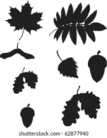 set of different leafs