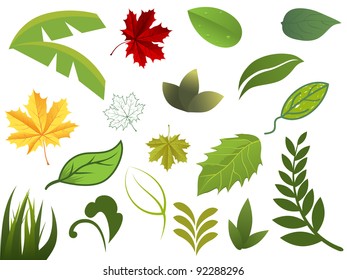 Set of different leafs. Vector illustration.