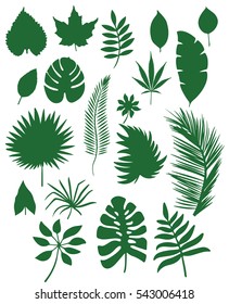 set of different leafs vector silhouette   