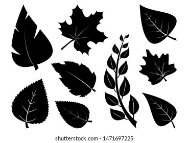 Set of different leaves, black silhouettes. Vector illustration