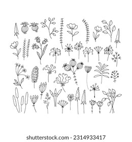 Se coloca con hojas, hierba de campo y ramas diferentes. Elementos transparentes para el diseño. Ilustración vectorial dibujada a mano. Estilo Doodle.