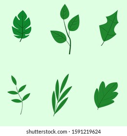 Set of different  leaves, hand drawn