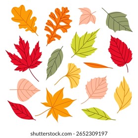 Definir diferentes folhas de bordo, carvalho e outras árvores. Folhas de outono. Decoração de outono em estilo plano. Amarelo, vermelho, folha de queda laranja para padrão, banner, adesivo. Olá, outono.