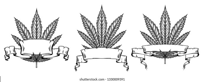 Set of different leaves of marijuana with hatching and scroll parchment banner. The object is separate from the background. Vector engraving element for menus, articles, cards and your creativity 