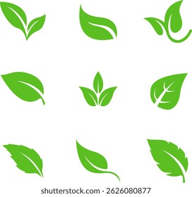 Set of Different Leaves – Natural and Organic Icons