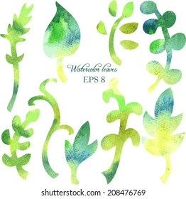 set of different leaves painted by watercolor, vector illustration