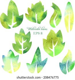 set of different leaves painted by watercolor, vector illustration