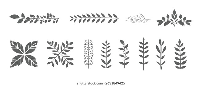 A set of different leaves and plants.