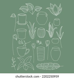 Está decorado con hojas, macetas y jarrones diferentes. Decoración casera para tu diseño. Ilustración vectorial hecha a mano. 