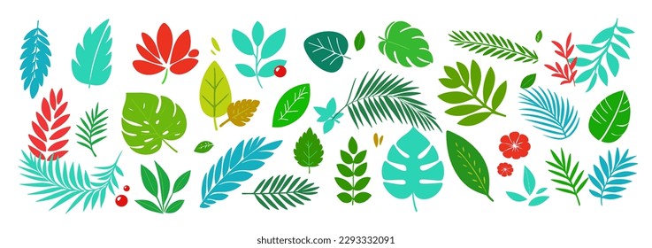 Set of different leaves, tropical and others. Big collections of flat style leaves and branches. Botanical set for card, posters, any design. Vector illustration. 