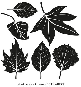 Set of different leaves. Vector black and white collection