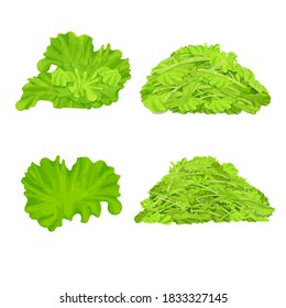 Set Of Different Lettuce Isolated On White Background. Leaves, Shredded Salad Pile, Stack. Realistic, Detailed, Colorful Composition Collection.