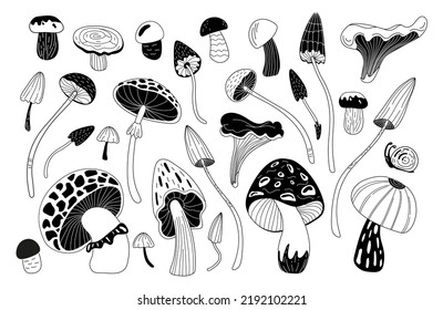 A set of different magic mushrooms. Doodle style.