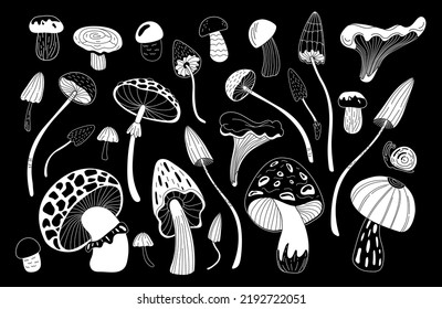 A set of different magic mushrooms on a black background. Doodle style.