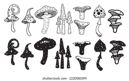 Set of different magical mushrooms, celestial autumn mushrooms with stars. Vector art