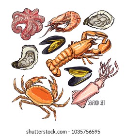 set of different marine animals. Hand-drawn illustration