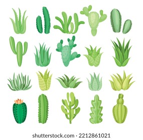 Conjunto de diferentes plantas mexicanas. Cacti verde y arbustos de aloe. Plantas orgánicas del desierto mexicano con clima caliente y seco. Jardinería y Botánica. Colección vectorial plana de dibujos animados aislada en blanco