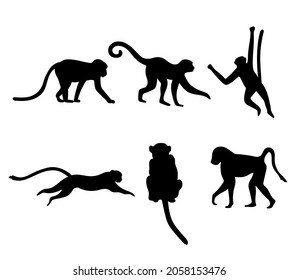 Set of different monkey silhouettes isolated on white background. Capuchin monkey and chimpanzee hanging, sitting and running