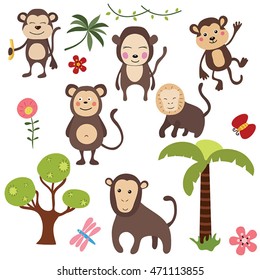 Set of different monkeys on white background.