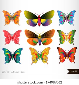 Set of different multicolored butterflies 