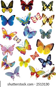 set of different multicolored butterflies -  vector