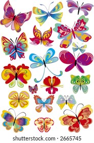 set of different multicolored butterflies -  vector