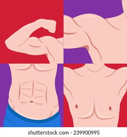 Set of different muscle groups. Arms, shoulders, breast and press