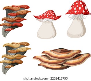 Set of different mushroom illustration