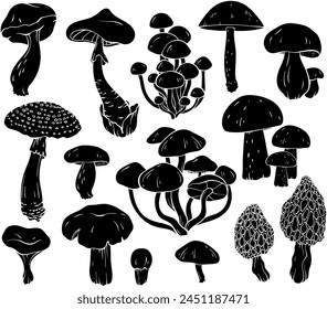 Set of different mushroom silhouettes, graphic drawing with lines, black and white cut truffle, porcini mushroom, shiitake and chanterelles isolated. Vector illustration