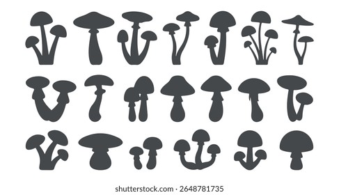 Set of different mushroom silhouettes, graphic drawing with lines, black and white cut truffle, porcini mushroom, color full Mushroom Silhouettes for Design. mushroom, silhouette, boletus.