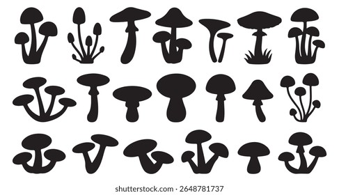 Set of different mushroom silhouettes, graphic drawing with lines, black and white cut truffle, porcini mushroom, color full Mushroom Silhouettes for Design. mushroom, silhouette, boletus.