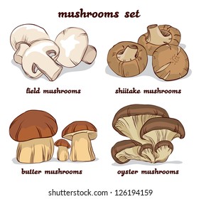 set of different mushrooms