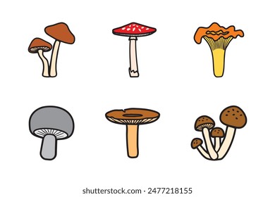 A set of different mushrooms, chanterelles, fly agaric, porcini mushroom, and others.